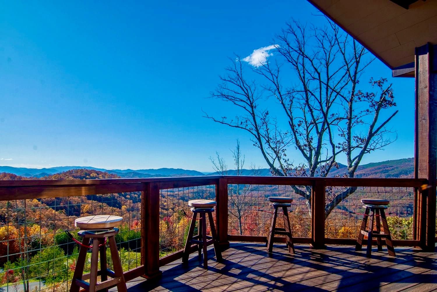 Elevated Living photo 4