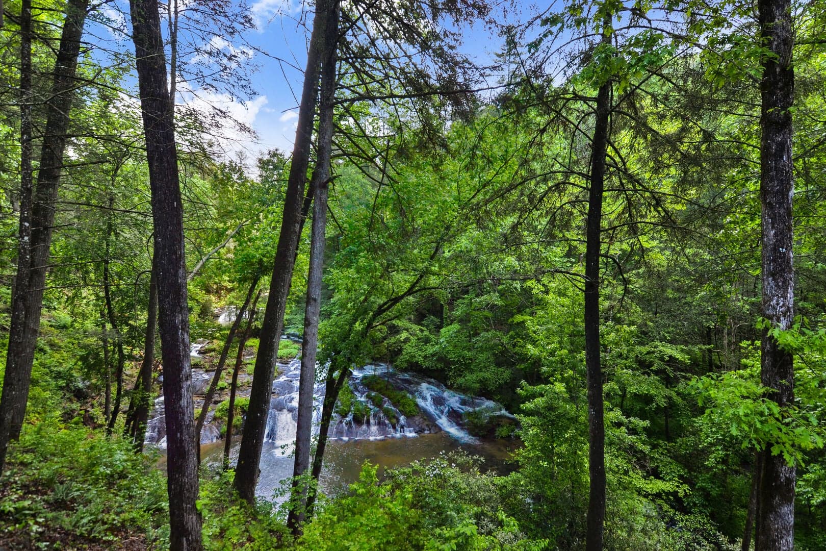 Falls Watch photo 3