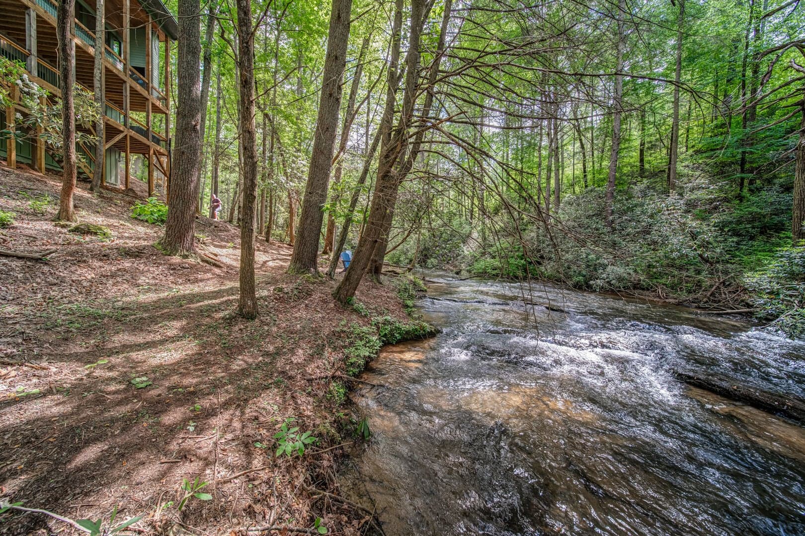 Watersong Rapids photo 3