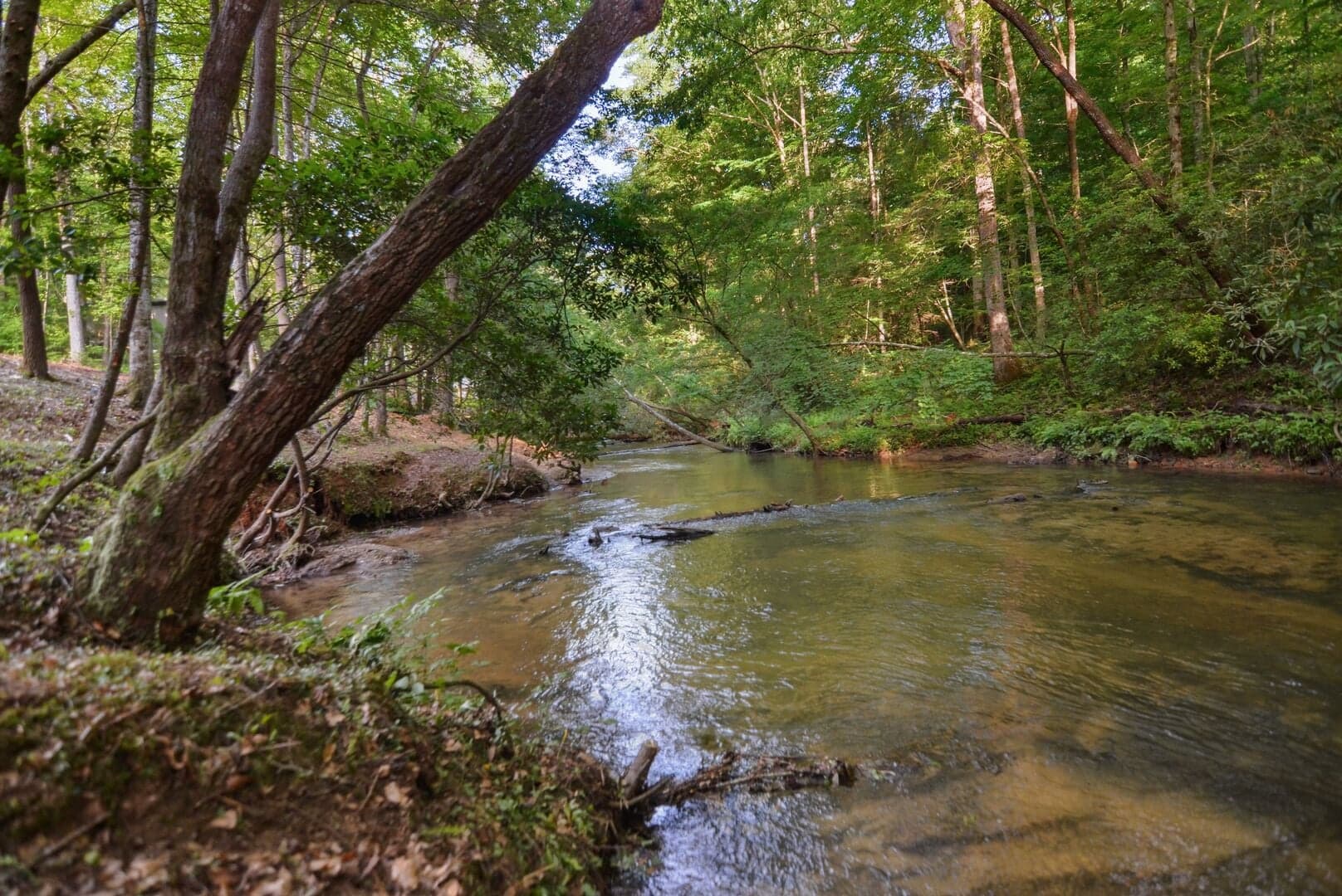 Blessings by the Creek photo 4