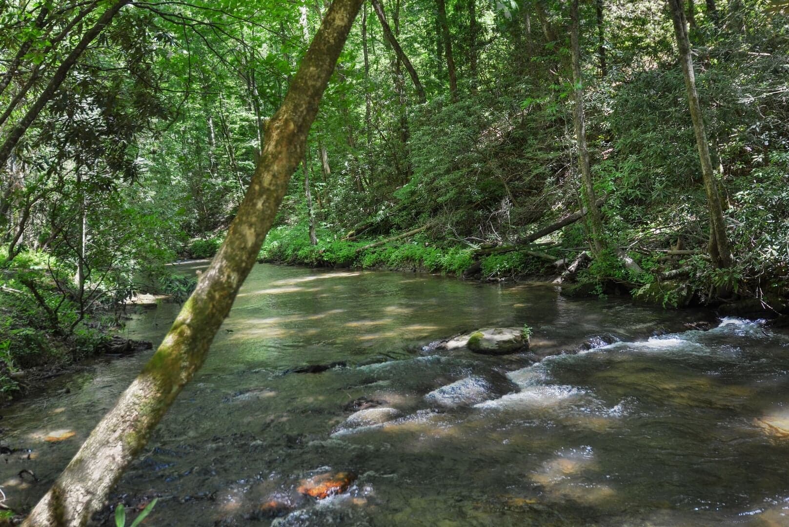 Creekside Style photo 3